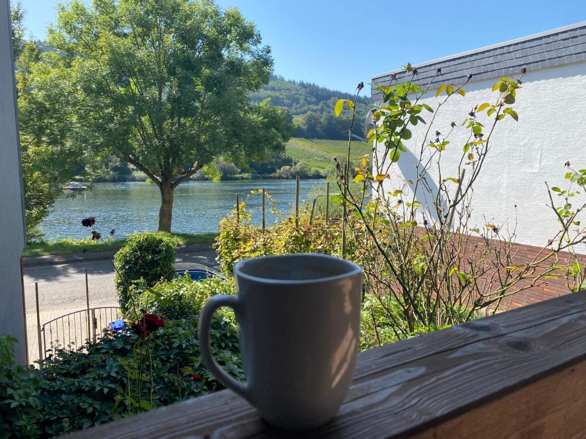 Appartement Fridolin Zell